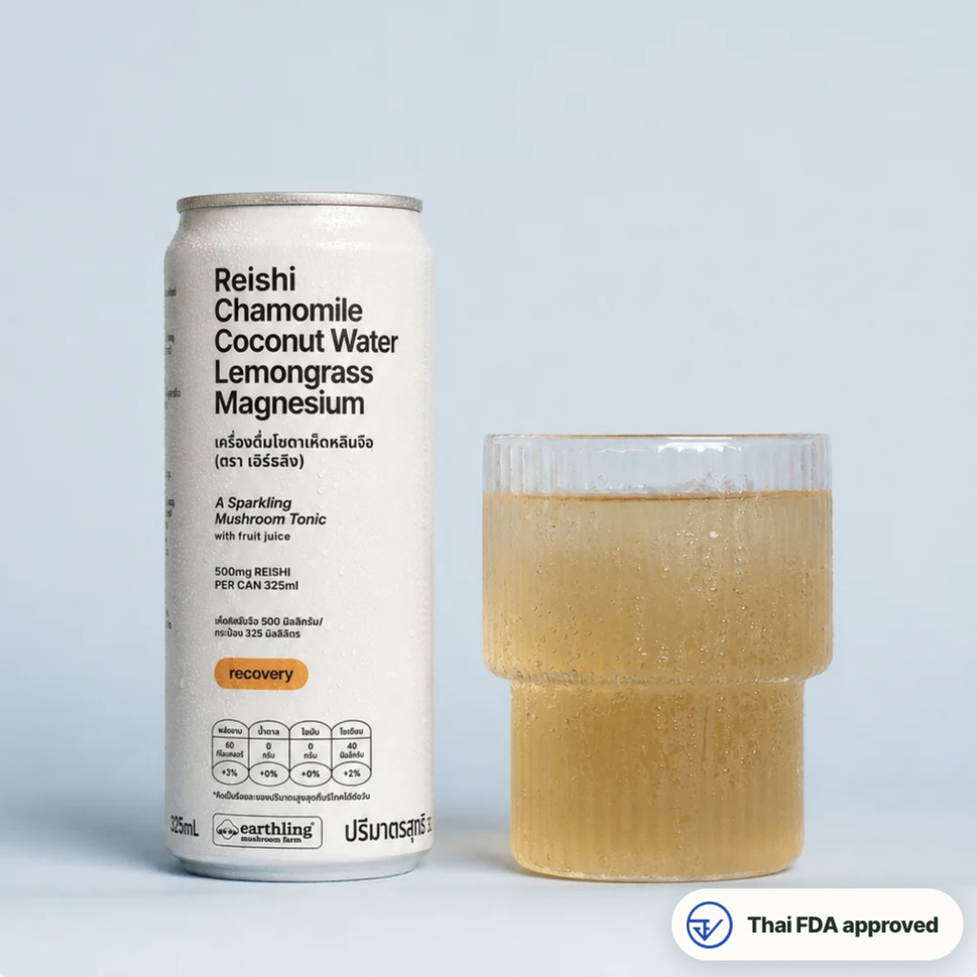 Reishi Recovery Sparkling Mushroom Tonic - Earthling